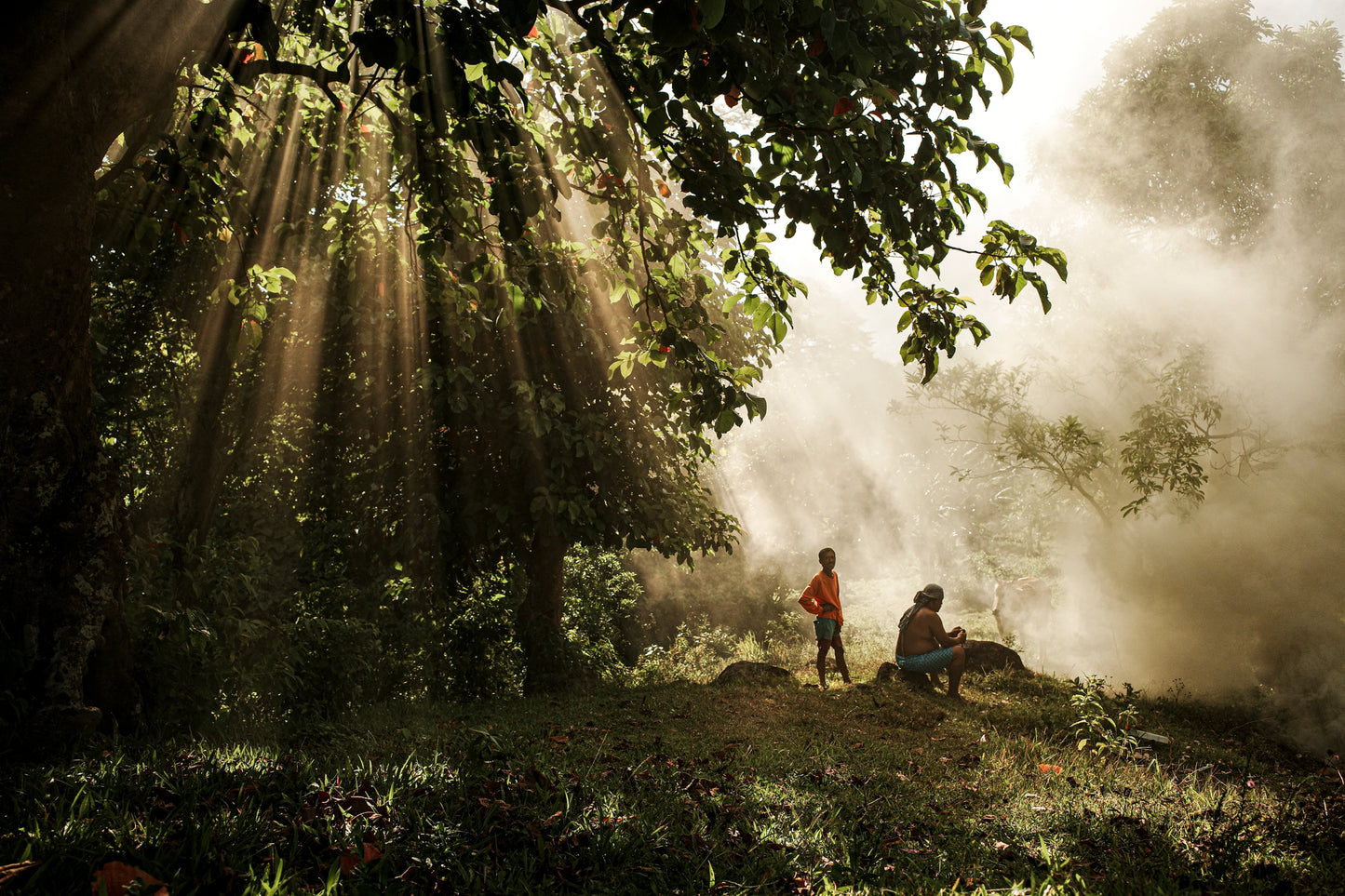 The Smell of Burning Woods - Jay Melliza