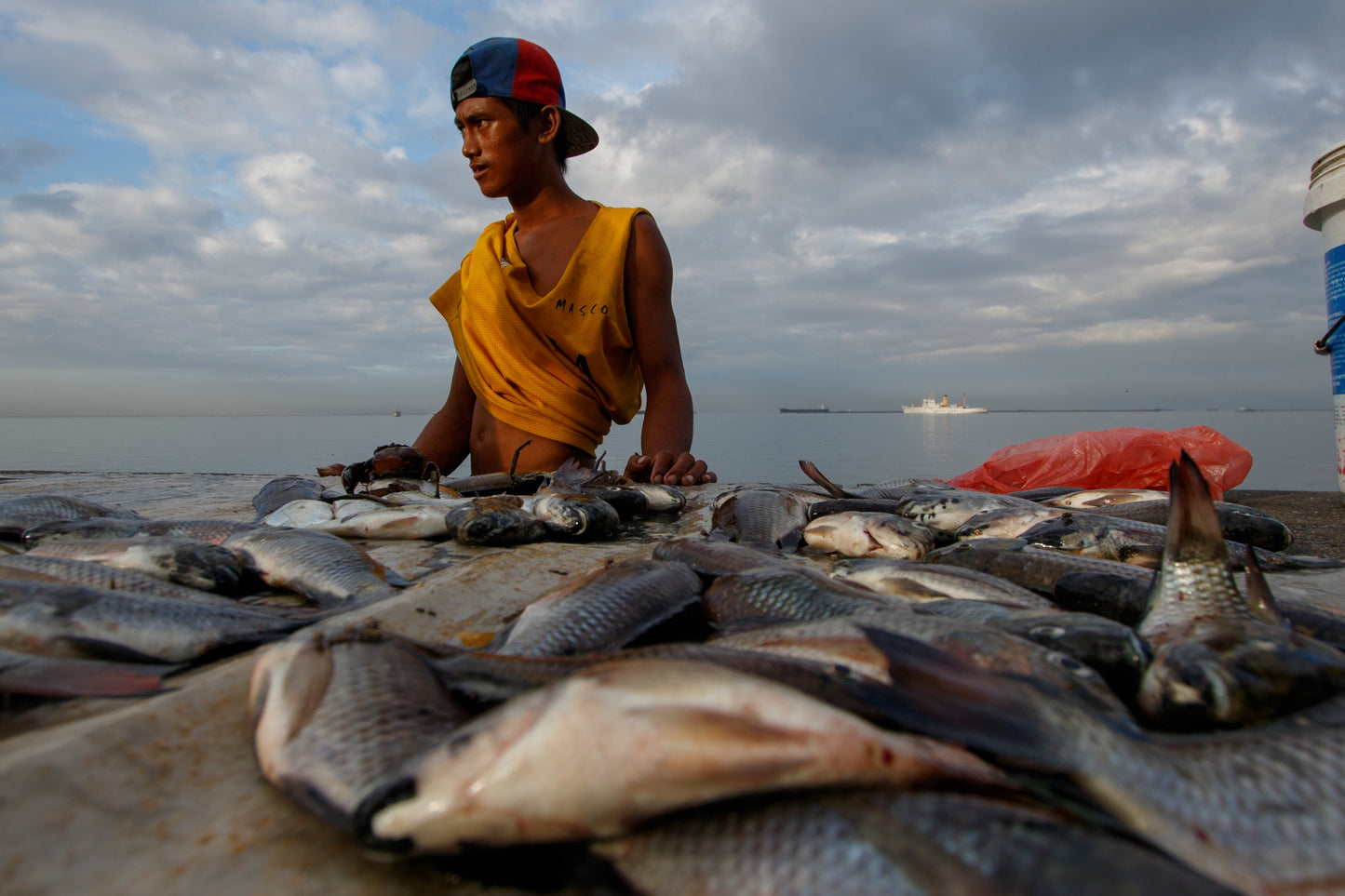Fresh Catch - Rico Cruz