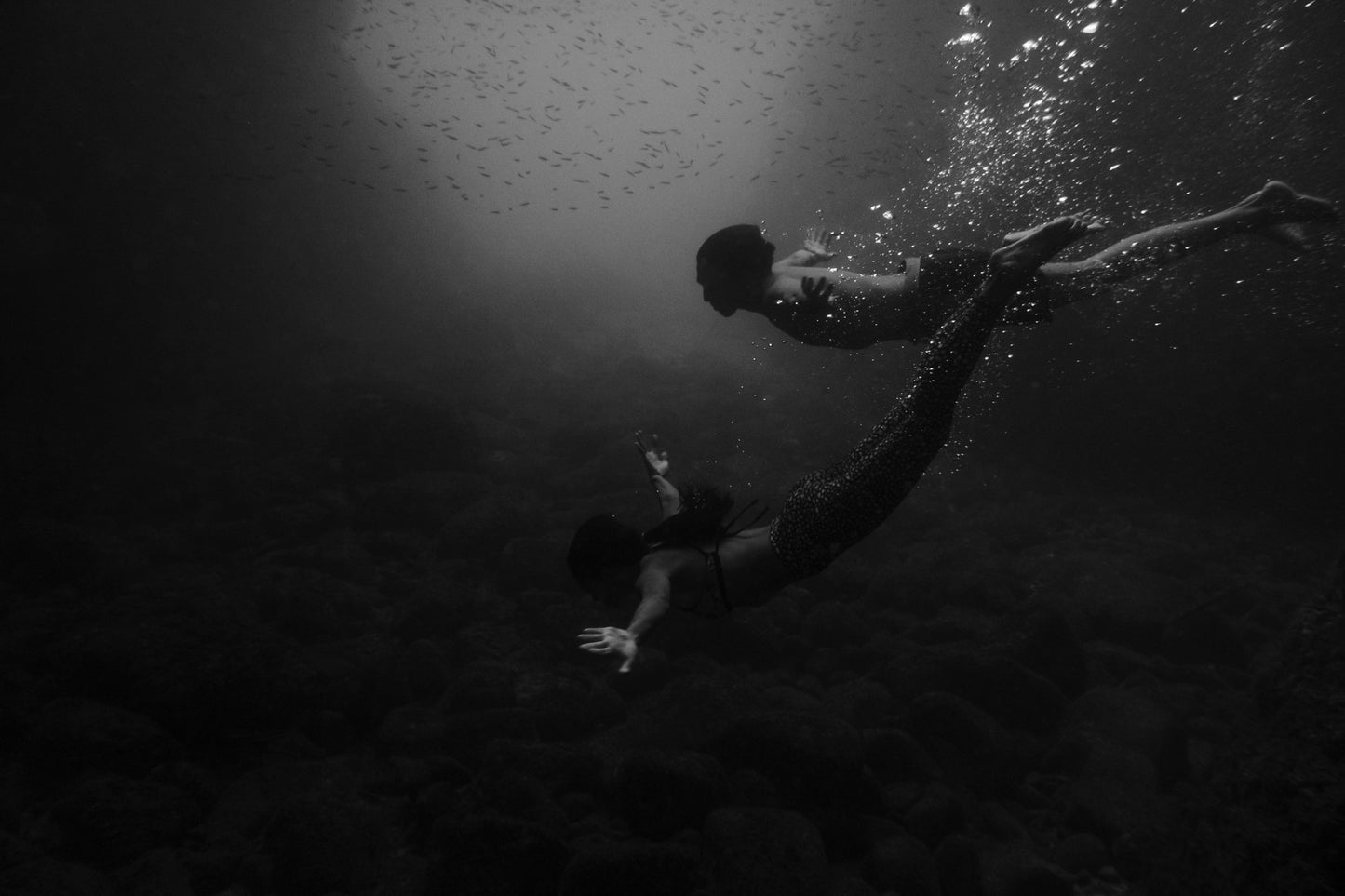 Susan Larsson - Ocean Reverie