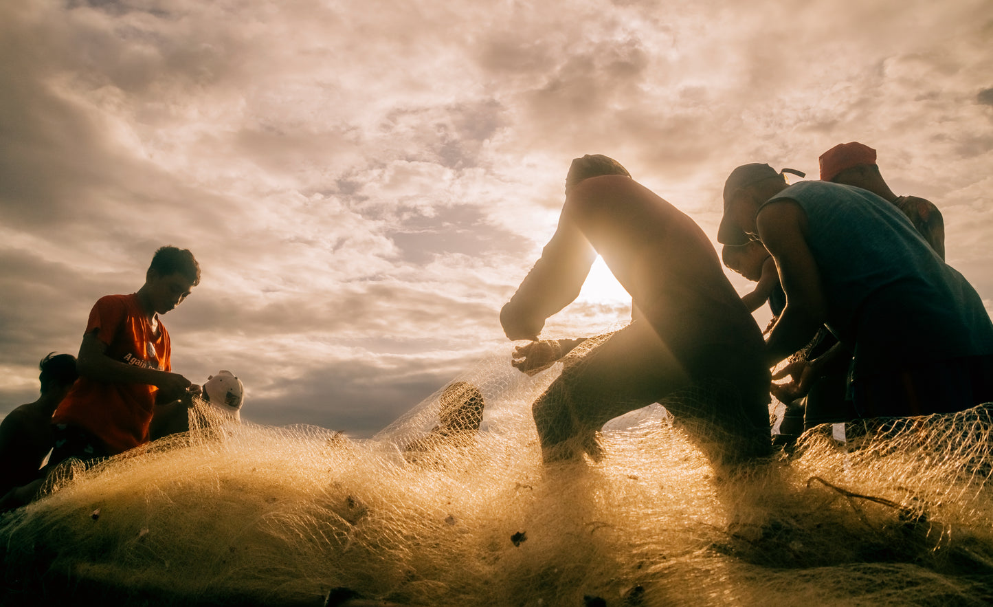 Net of Community - Alfred