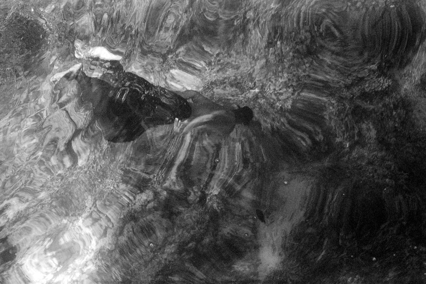 Palalim - Alessandro Pacla