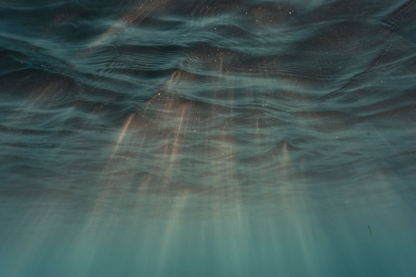 The Sunlight From Underwater - Carmen del Prado