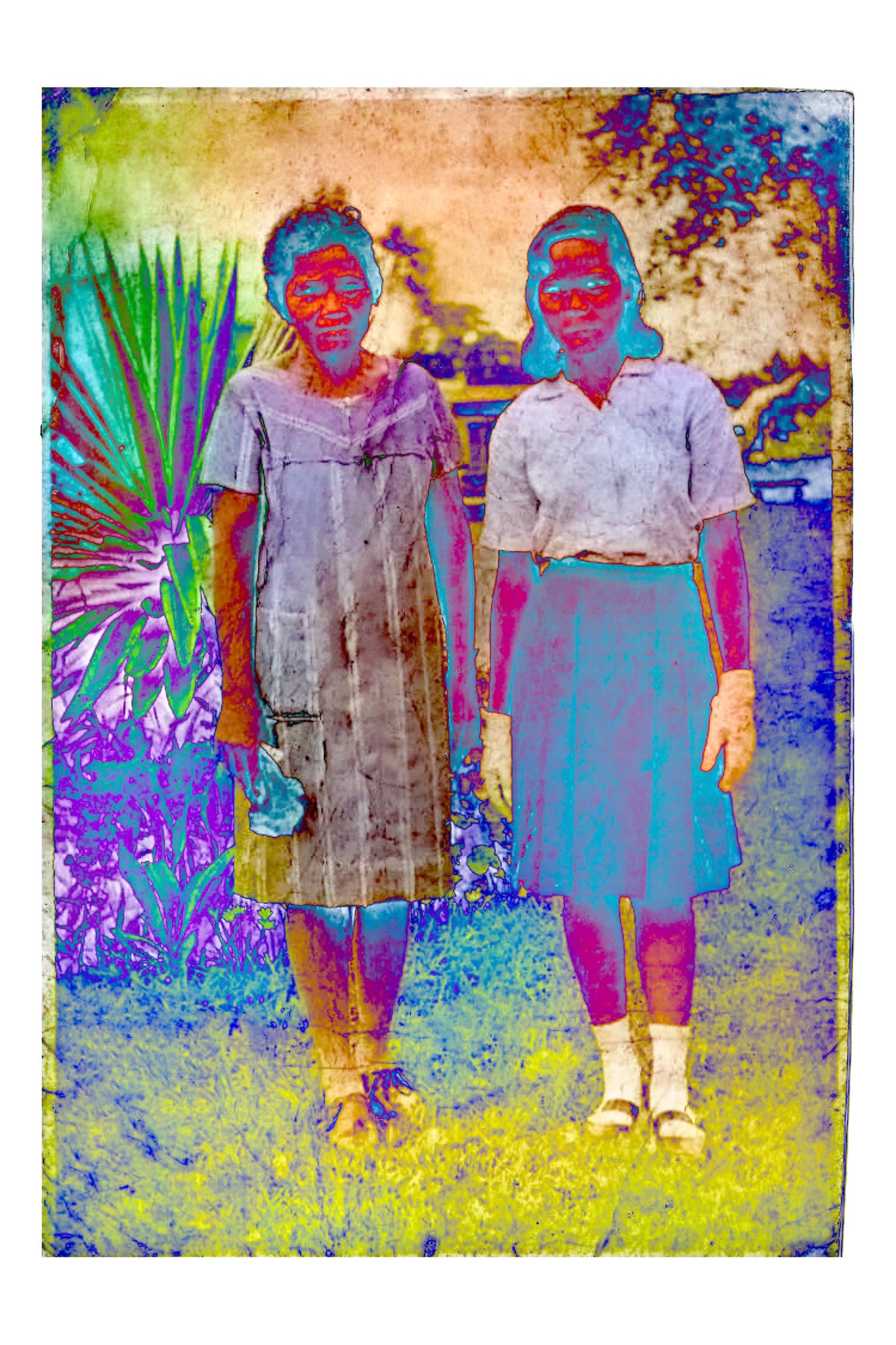 Dungan - Antonni Cuesta