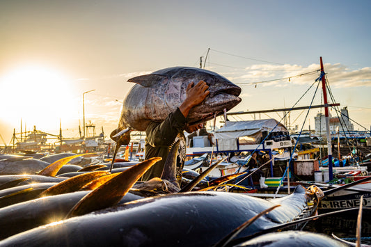 Fish Market. Gensan, Sarangani Province - Enrique Bejar
