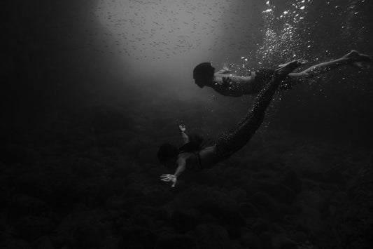 Ocean Reverie - Susan Larsson