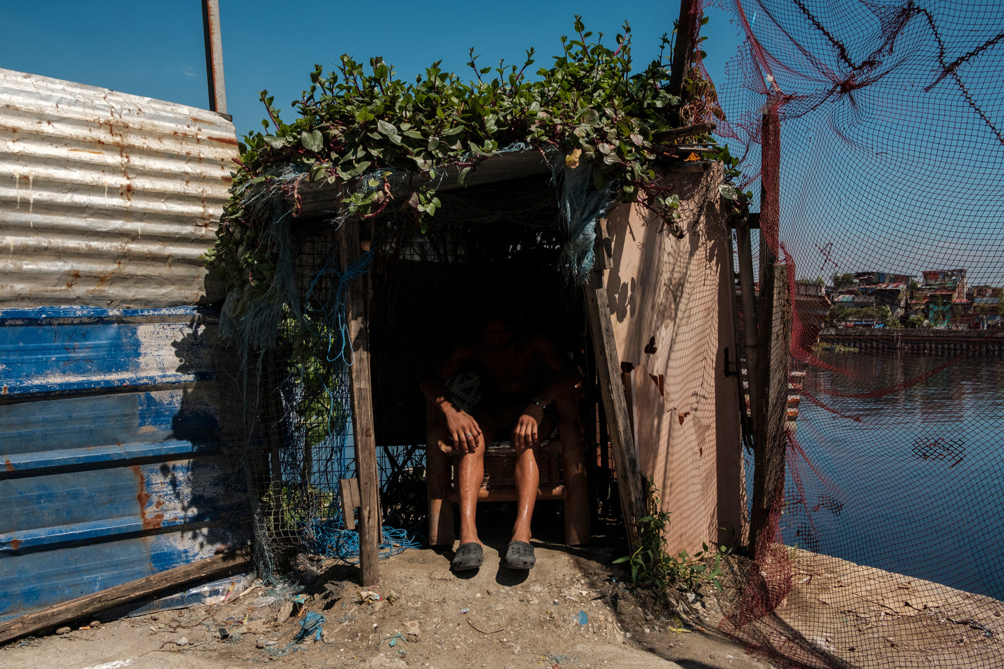 Urban Overgrowth - Anton Baello