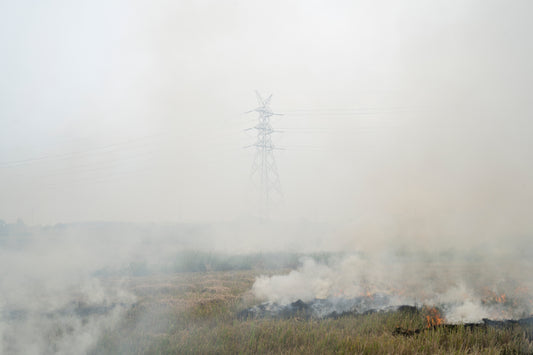 Kaingin Farming in Tarlac - Edmar Pineda