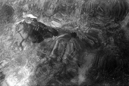 Palalim - Alessandro Pacla