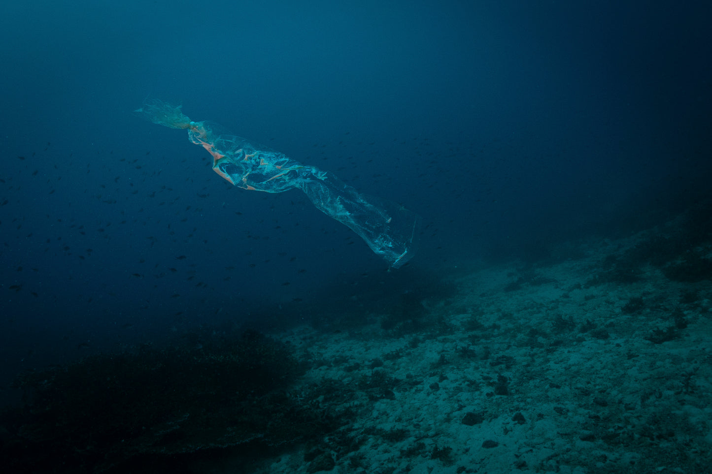 Plastikan! - Toto Lozano