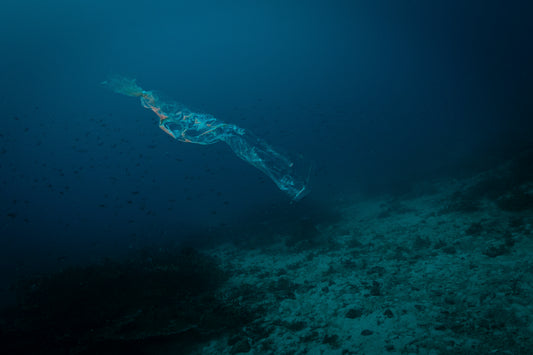 Plastikan! - Toto Lozano