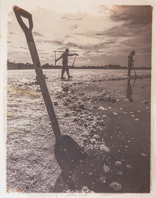 Salt of Pangasinan - Dar San Agustin